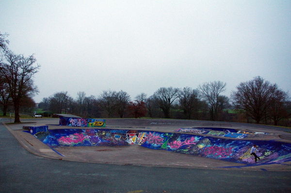 La Généraudière Bowl La Roche sur Yon Skate Spot 3/5