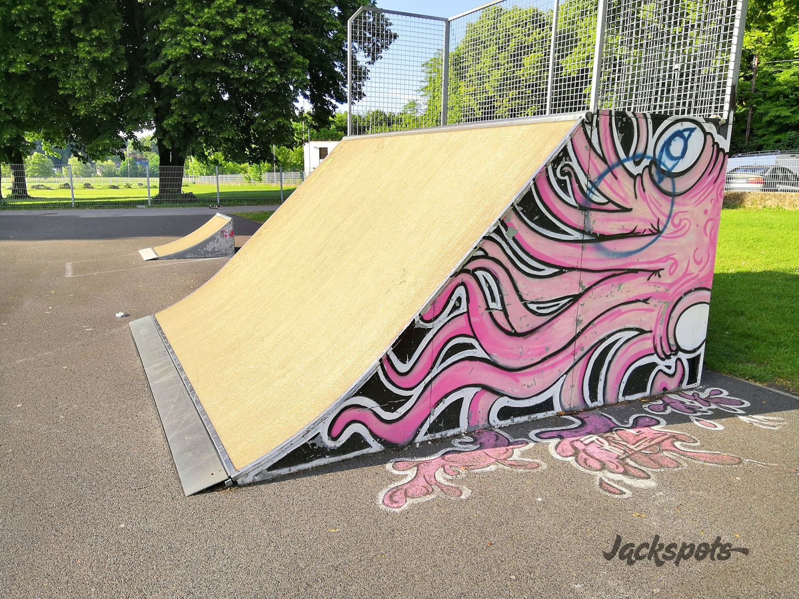 Saint Crepin Skatepark Soissons Skate Spot 2/5
