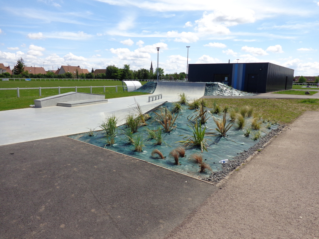 Gymnase Lorier Skatepark Thue et Mue Skate Spot 2/5