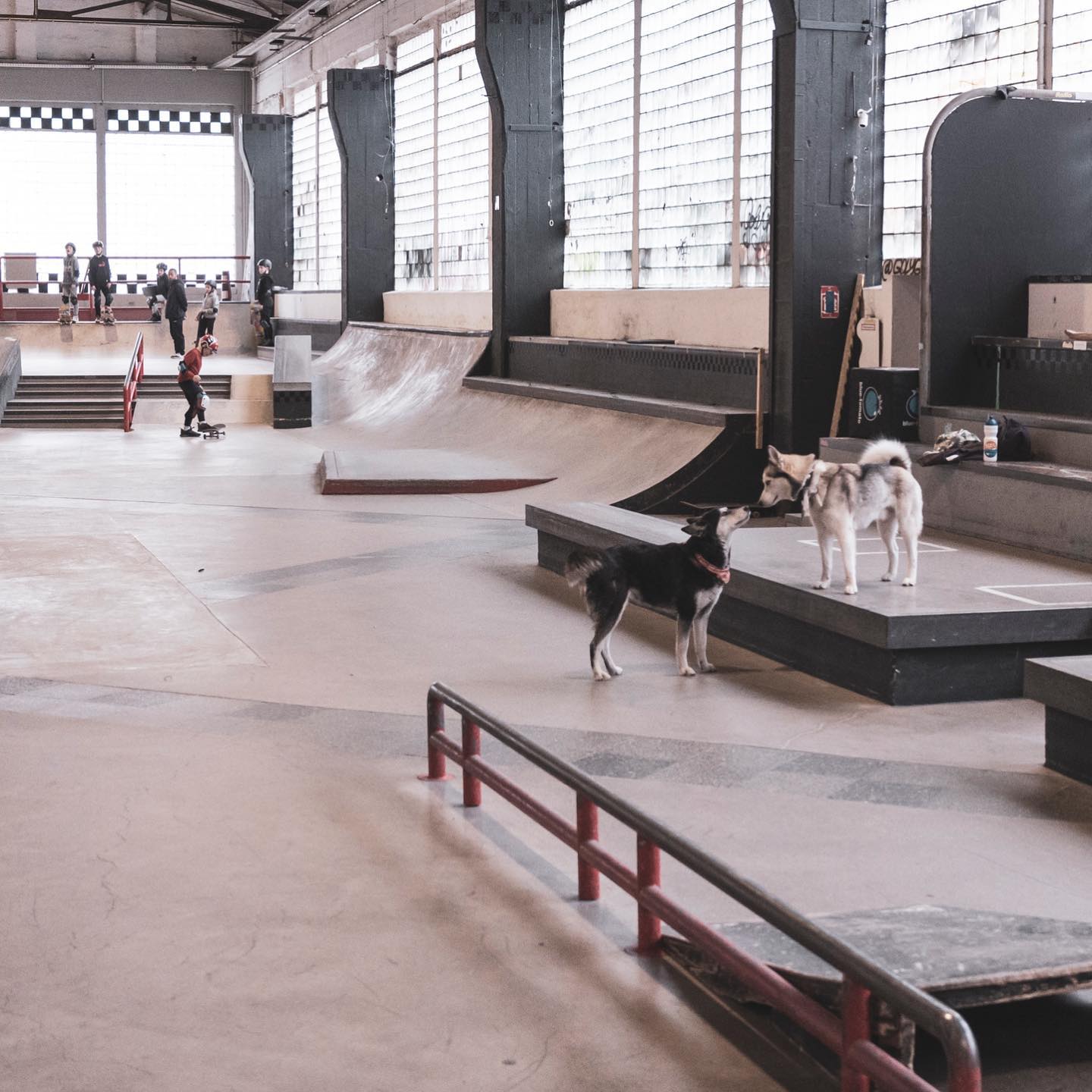 Skatehalle Berlin Indoor Berlin Skate Spot 5/5
